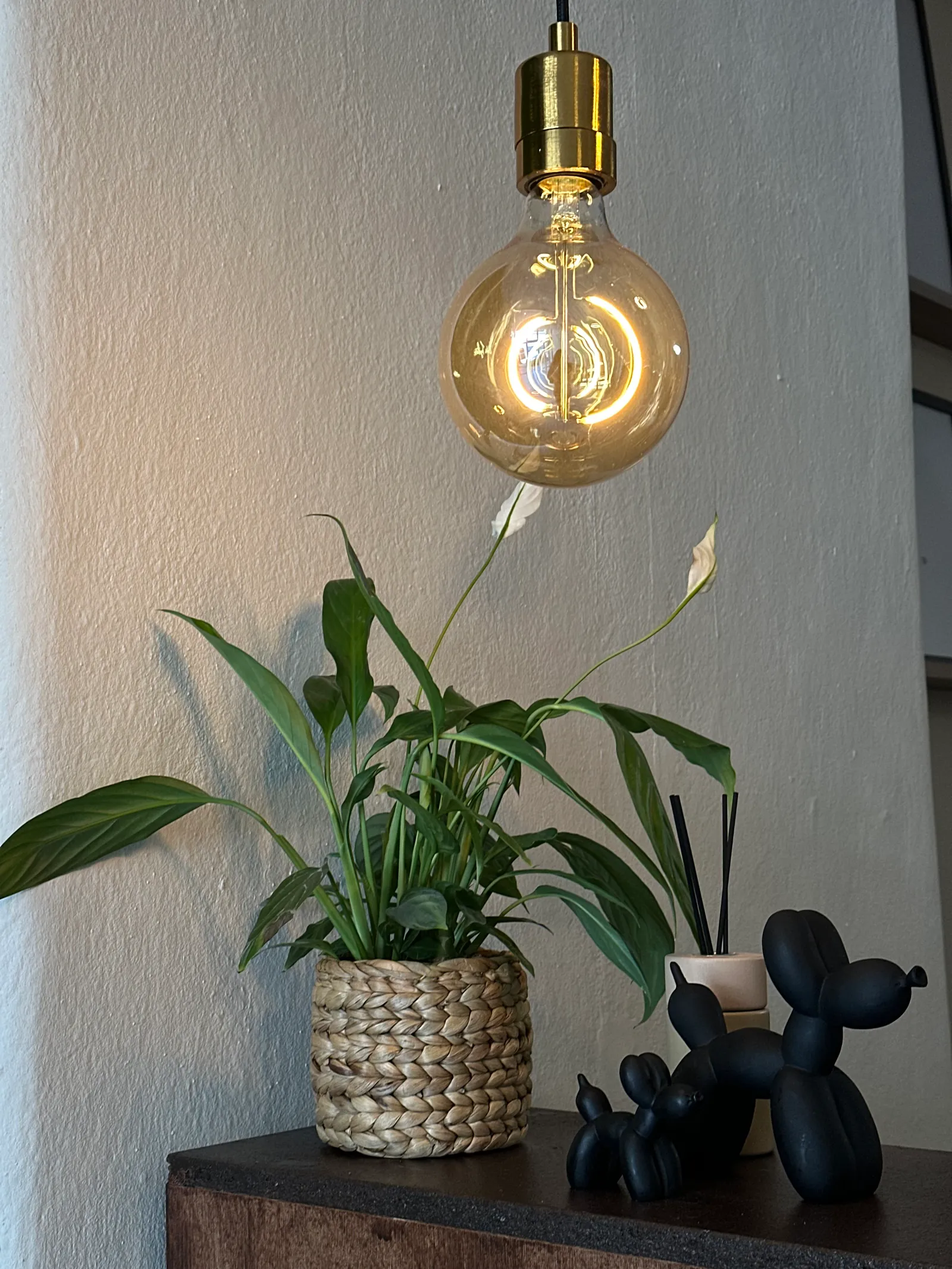 Edison-Lampe, Friedenslilie im Korb und schwarze Ballon-Hund-Figuren auf dem Holzregal